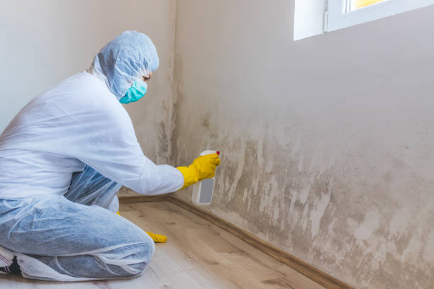 Hvac And Air Duct Mold Remediation inspection of HVAC system in Goldston