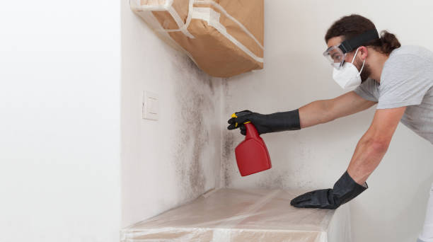 Attic Mold Remediation treatment on roof deck in Goldston