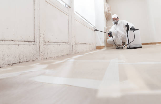 Black mold remediation team in Goldston