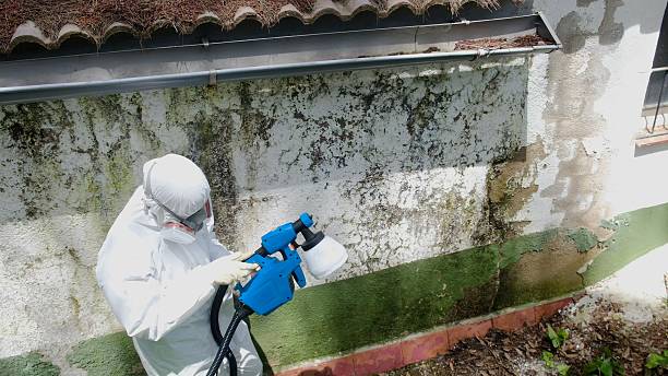 Mold Remediation service in Goldston, Goldston, NC